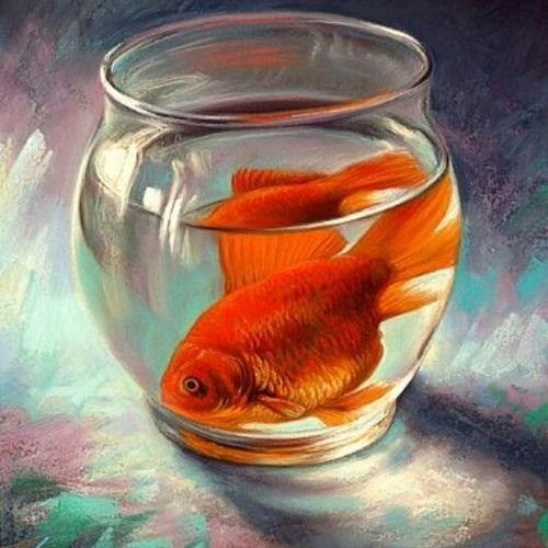 Аквариум живопись