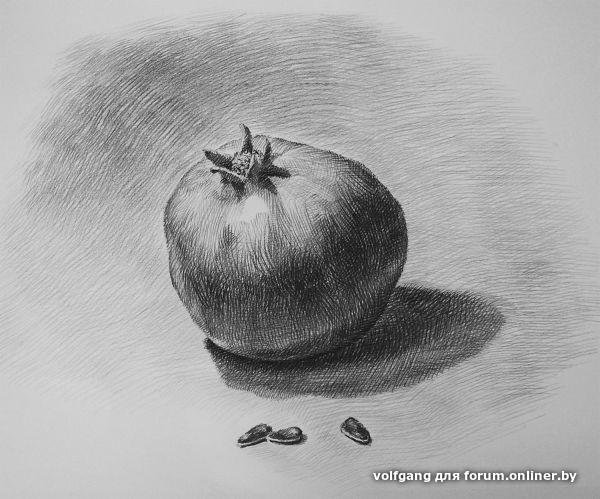 Фрукты в графике карандашом