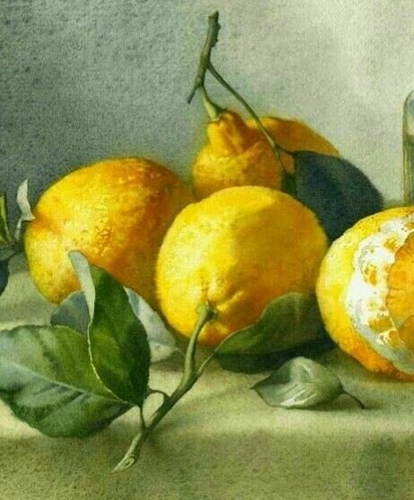 Лимоны маслом голландская живопись Фальк