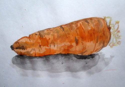 Этюд морковь акварель