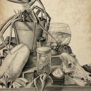 Натюрморт литография (47 фото)