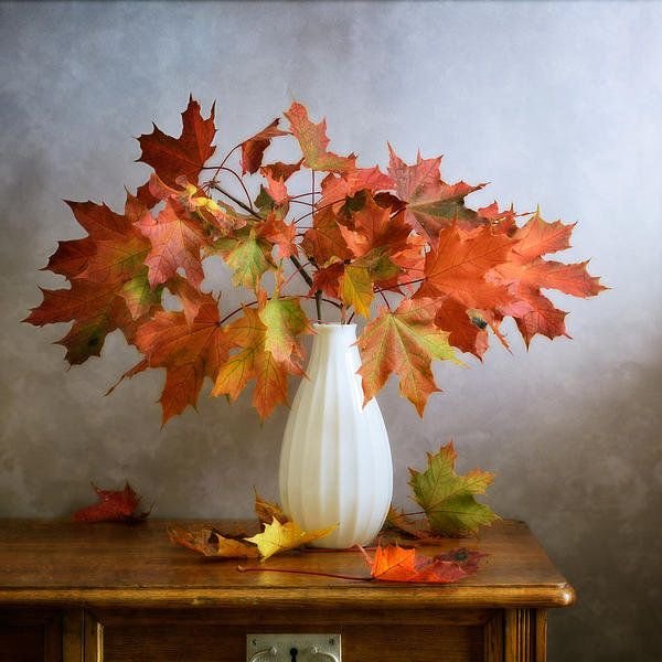 Кленовые листья в вазе