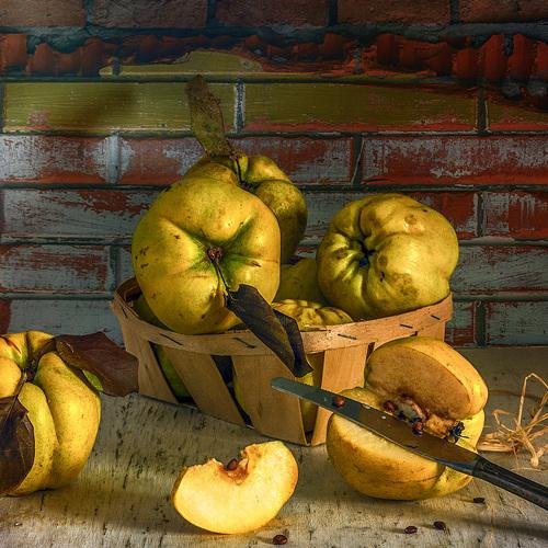 Фотонатюрморты с айвой