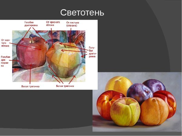 Натюрморт свет и тень
