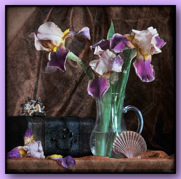 Ирисы натюрморт