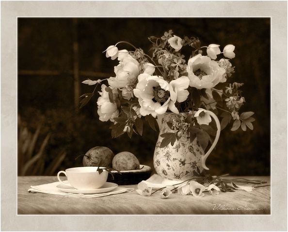 Кофанов а. декоративный натюрморт эстамп