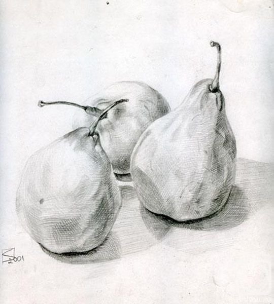 Груша с натуры Графика