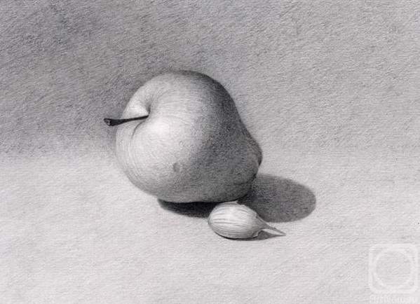 Натюрморт яблоко карандашом