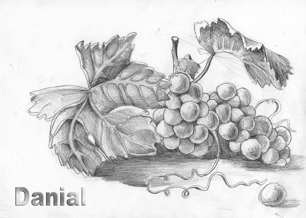 Натюрморт виноград карандашом