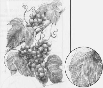 Графические натюрморты карандашом виноград
