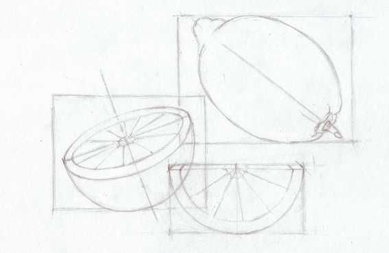 Конструктивное рисование фруктов