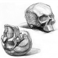 Постановки для рисования