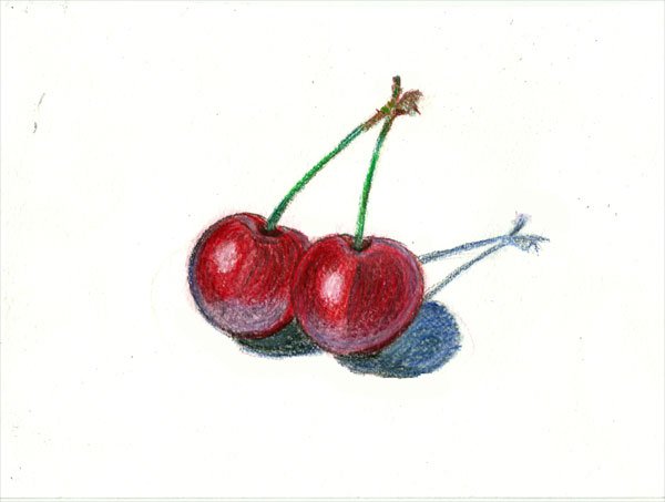 Вишня цветными карандашами