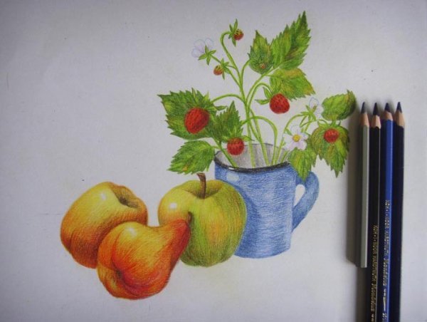 Натюрморт для детей карандашом цветным