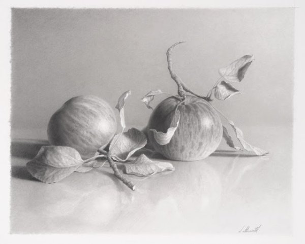 Натюрморт рисунок