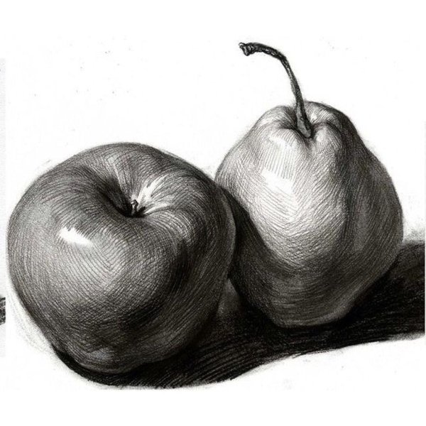 Натюрморт яблоко карандашом