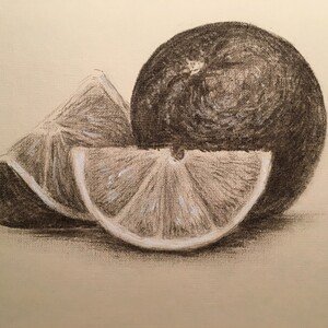 Натюрморт апельсин карандашом