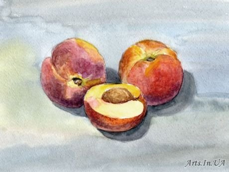 Этюд фруктов акварелью