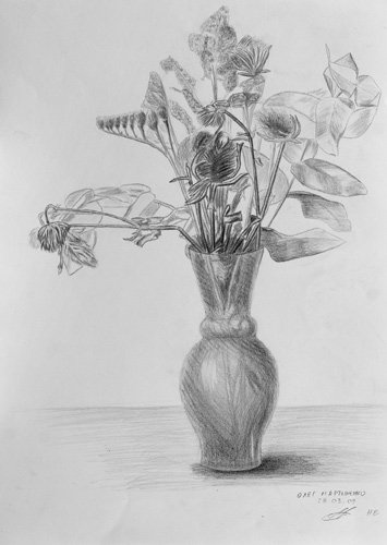 Зарисовка цветка в горшке карандашом