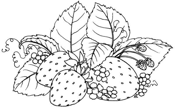 Художник Alexander Selytin