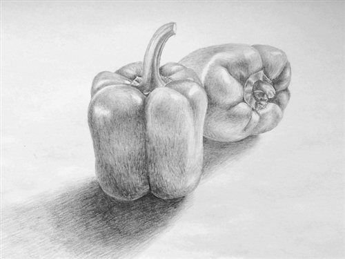 Перец натюрморт карандашом