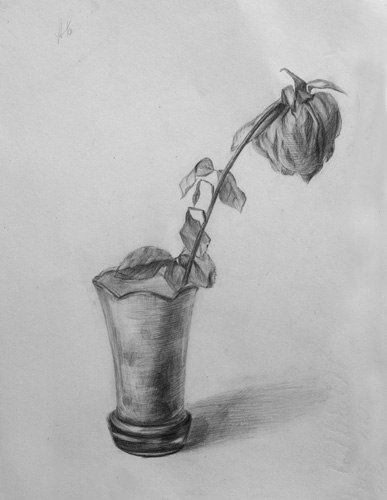 Роза в огне рисунок