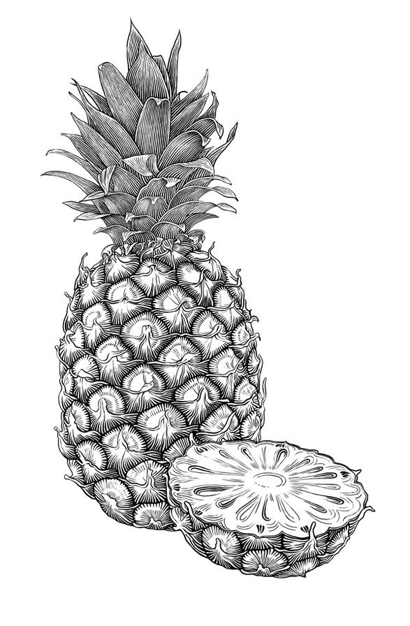 Рисунки ананаса для срисовки - 98 фото