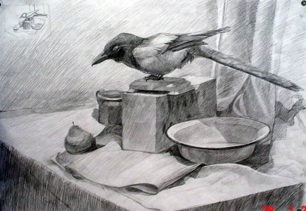 Академический натюрморт с чучелом птицы художественная школа Москва