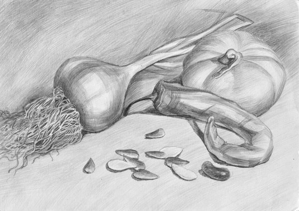 Овощи карандашом