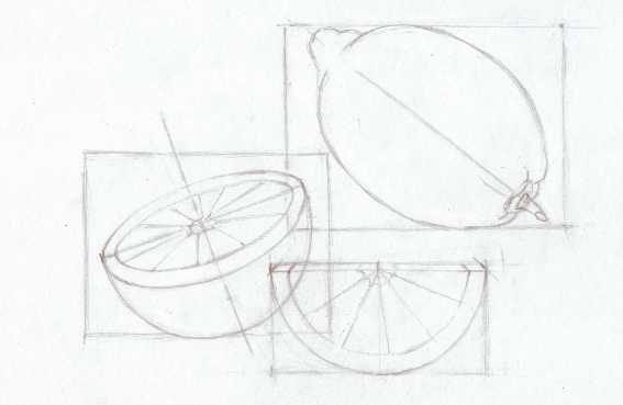 Конструктивное построение фруктов