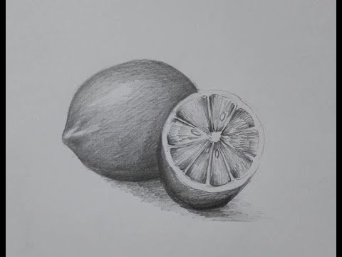 Лимон простым карандашом