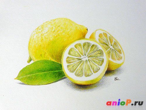 Натюрморт цветными карандашами