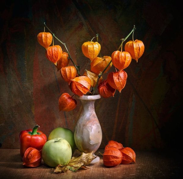 Светлана Лансе физалис