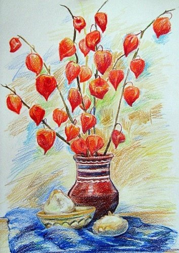 Физалис. Роберт Фальк