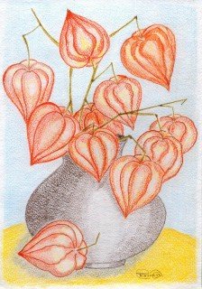 Осенние цветы - флизалии