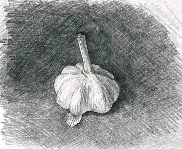 Зарисовки овощей