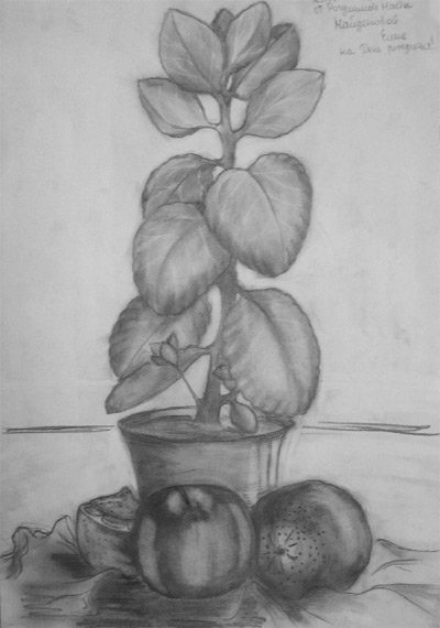Натюрморт на окне карандашом