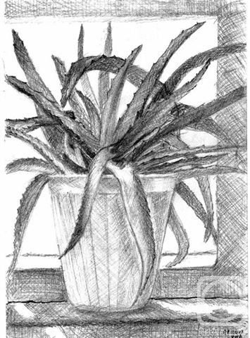 Вазоны карандашом