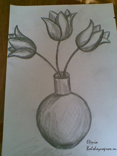 Натюрморт карандашом ваза с тюльпанами