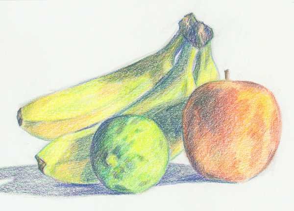 Фрукты цветными карандашами