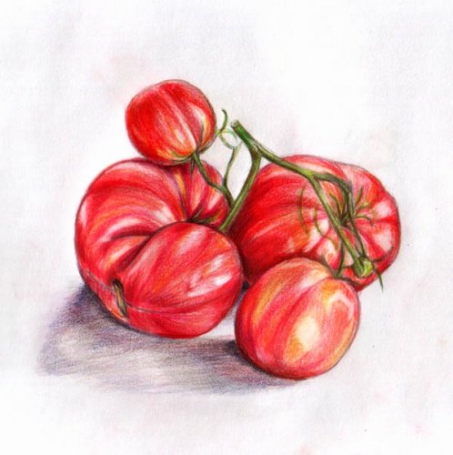 Натюрморт простой