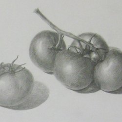 Помидор разноцветными карандашами