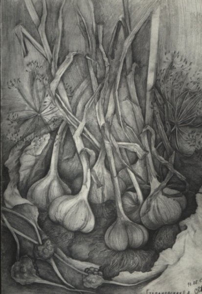 Чеснок в графике