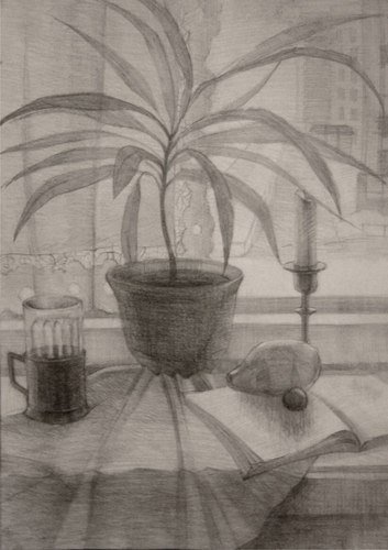 Натюрморт с комнатным растением на Светлом фоне