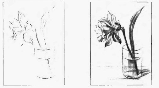 Натюрморт цветы в вазе карандашом