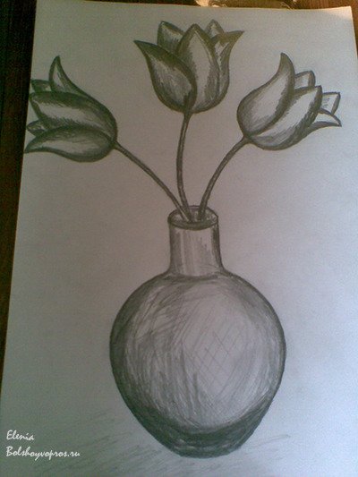 Натюрморт с цветами карандашом