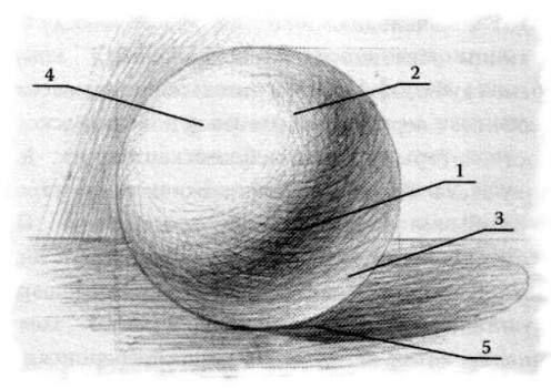 Свет тень полутень рефлекс на шаре
