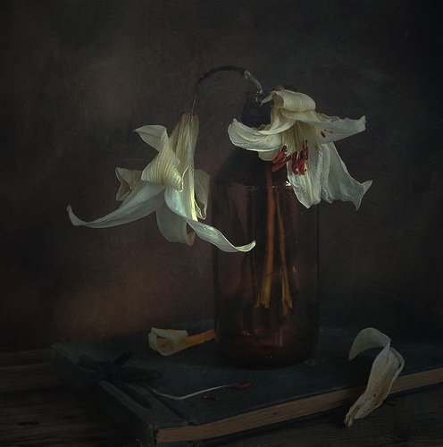 Увядшая Лилия