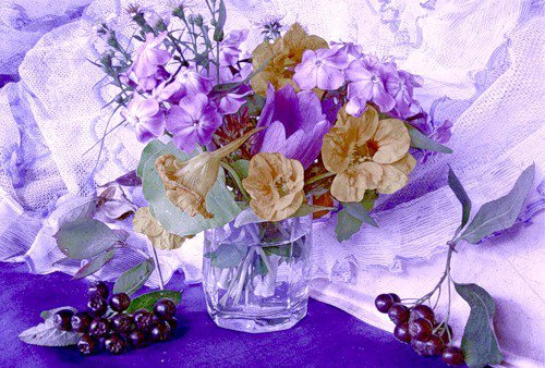Натюрморт в сиреневых тонах
