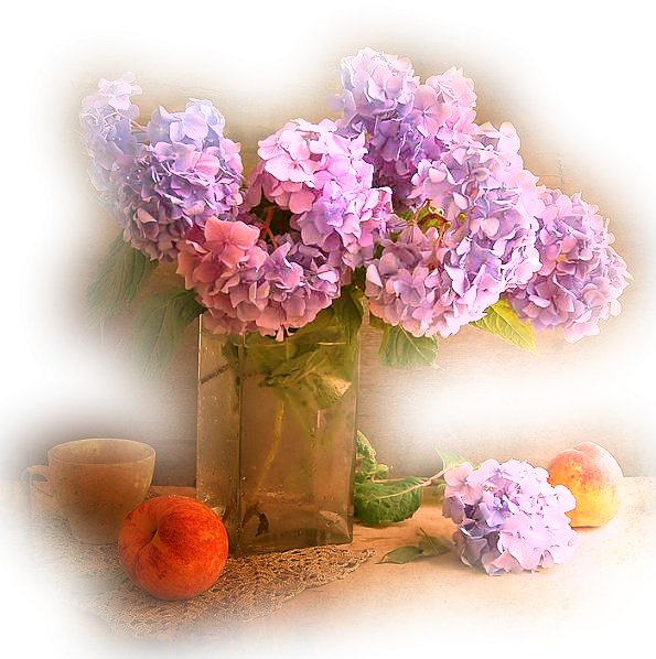 Натюрморт клипарт